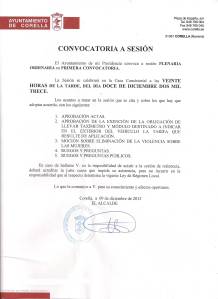 Pleno-Ordinario_121213