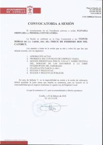 Citacion-Pleno_130214