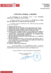 cita-pleno-131016